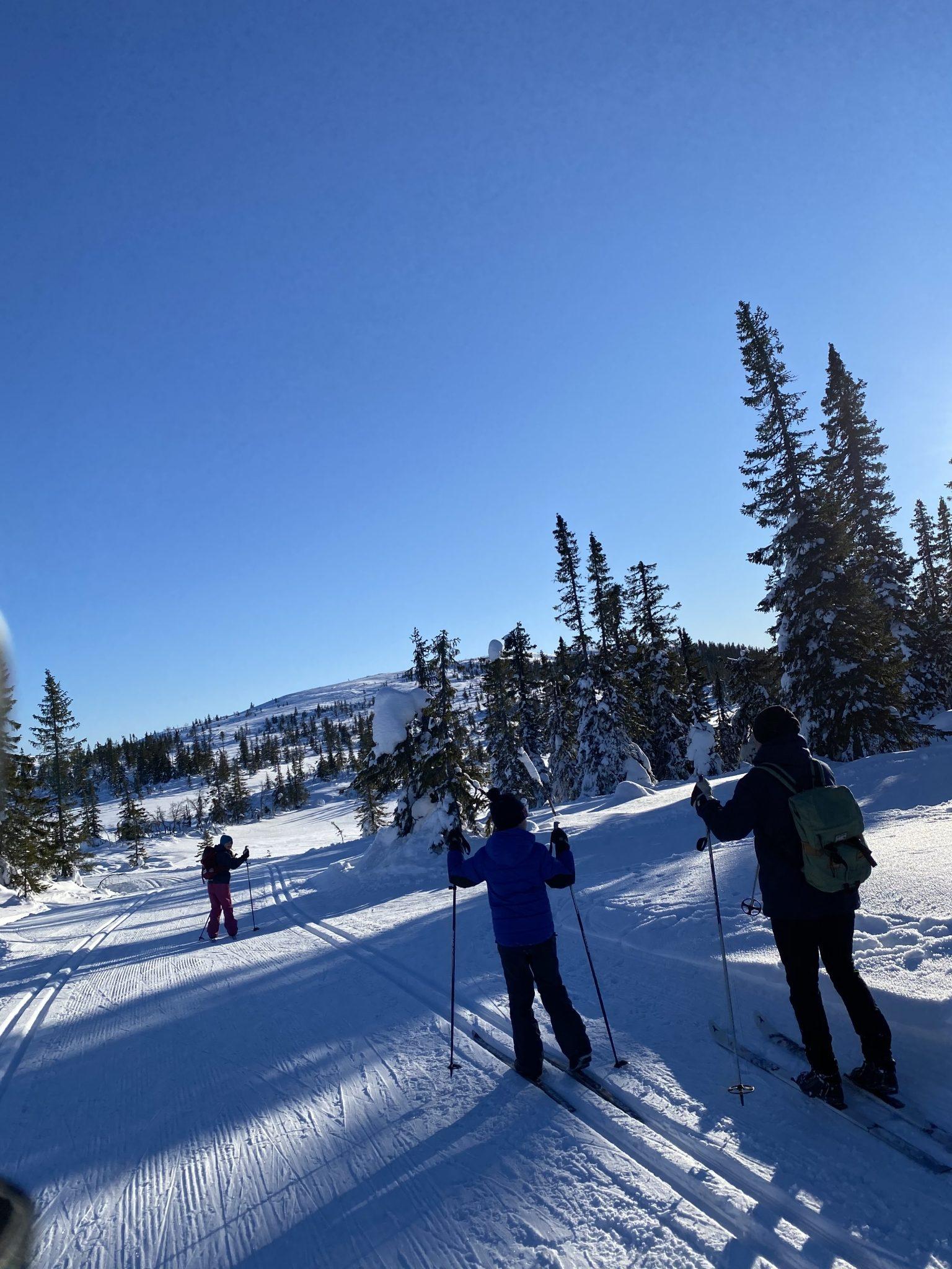 Image 2 2023 01 18 19 44 08